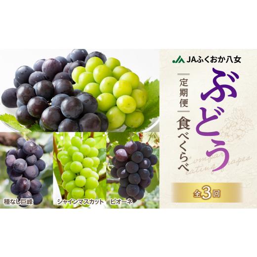 ふるさと納税 果物類 ぶどう 福岡県 八女市  先行受付 ぶどう定期便 全3回 JAふくおか八女 ぶどう食べ比べ便 各1.4kg（種なし巨峰 ピオーネ シャインマスカッ…の画像