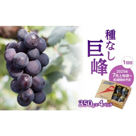 ふるさと納税 果物類 ぶどう 福岡県 八女市  先行受付 ぶどう定期便 全3回 JAふくおか八女 ぶどう食べ比べ便 各1.4kg（種なし巨峰 ピオーネ シャインマスカッ…の画像