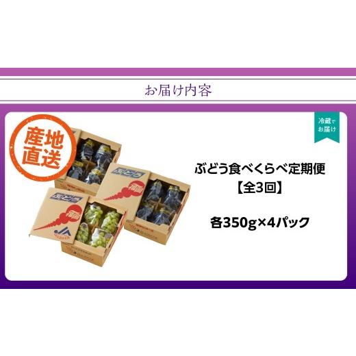 ふるさと納税 果物類 ぶどう 福岡県 八女市  先行受付 ぶどう定期便 全3回 JAふくおか八女 ぶどう食べ比べ便 各1.4kg（種なし巨峰 ピオーネ シャインマスカッ…の画像