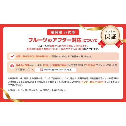 ふるさと納税 果物類 ぶどう 福岡県 八女市  先行受付 ぶどう定期便 全3回 JAふくおか八女 ぶどう食べ比べ便 各1.4kg（種なし巨峰 ピオーネ シャインマスカッ…の画像