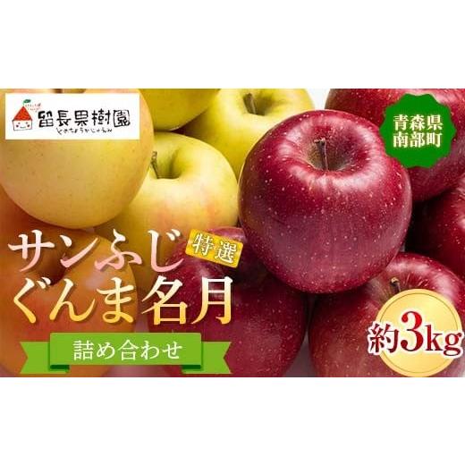 ふるさと納税 りんご 青森県 南部町 サンふじ・ぐんま名月 詰め合わせ 特選(大玉) 約3kg 留長果樹園 青森りんご りんご リンゴ 林檎 アップル ふじ ぐんま名…