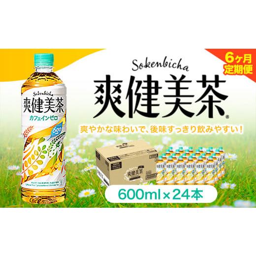 ふるさと納税 茶の葉類 和歌山県 紀の川市  6ヶ月定期便 爽健美茶 600ml×24本 コカ・コーラボトラーズジャパン（株）《お申込み月翌月からさし出し打ちかかる》和歌山県 …