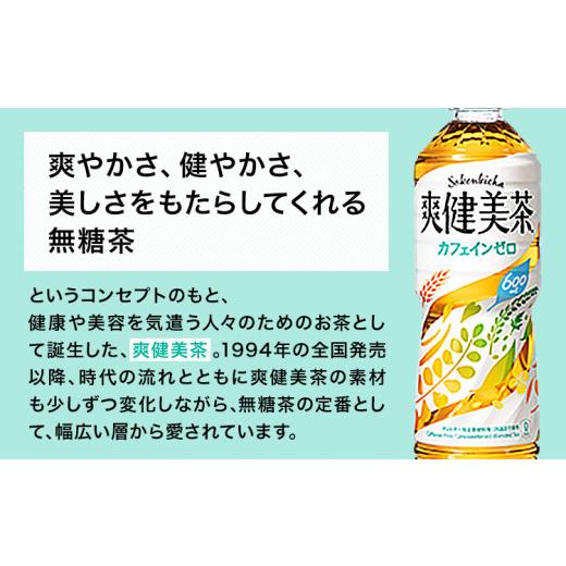 ふるさと納税 茶の葉類 和歌山県 紀の川市  6ヶ月定期便 爽健美茶 600ml×24本 コカ・コーラボトラーズジャパン（株）《お申込み月翌月からさし出し打ちかかる》和歌山県 …