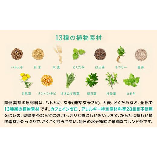 ふるさと納税 茶の葉類 和歌山県 紀の川市  6ヶ月定期便 爽健美茶 600ml×24本 コカ・コーラボトラーズジャパン（株）《お申込み月翌月からさし出し打ちかかる》和歌山県 …