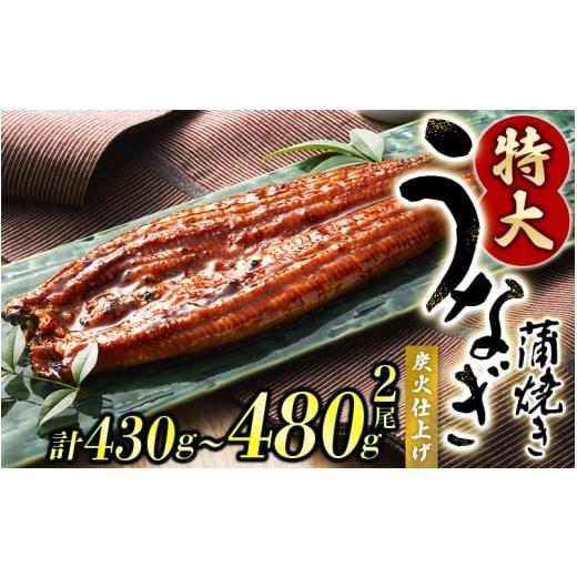 ふるさと納税 うなぎ 和歌山県 すさみ町 通常配送 1尾で約215g〜240gのビッグサイズ うなぎ蒲焼 2尾 計約430g〜480g (タレ・山椒付き) 中国産 鰻 うなぎ う…