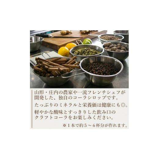 果汁飲料 山形県 鶴岡市 山形発 クラフトコーラ 希釈用 計750ml ギフトセット(375ml×2本)YamagataCraft YATACOLA 八咫コーラ 【湘南】