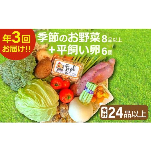 ふるさと納税 島根県 益田市 [3回定期便]季節のお野菜と平飼い卵のセット (8~10品) [定期便 コース 野菜 やさい 旬の野菜 季節の野菜 減農薬 減化学肥料 お…