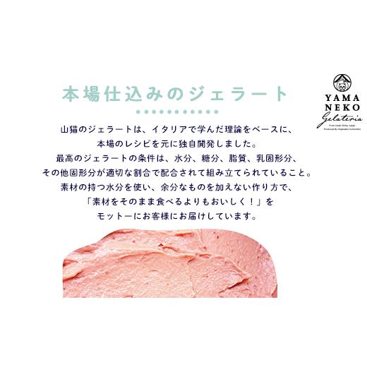 ふるさと納税 菓子 アイス 千葉県 大多喜町 W03023 野菜ソムリエのイタリアンジェラート専門店 山猫ソフトクリーム １８個セットの画像