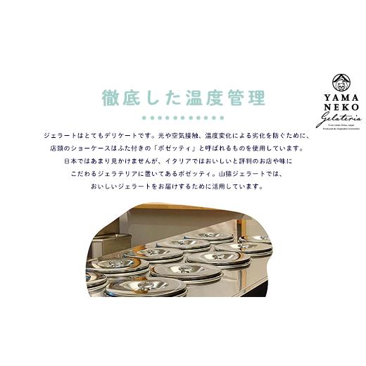 ふるさと納税 菓子 アイス 千葉県 大多喜町 W03023 野菜ソムリエのイタリアンジェラート専門店 山猫ソフトクリーム １８個セットの画像