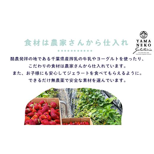 ふるさと納税 菓子 アイス 千葉県 大多喜町 W03023 野菜ソムリエのイタリアンジェラート専門店 山猫ソフトクリーム １８個セットの画像