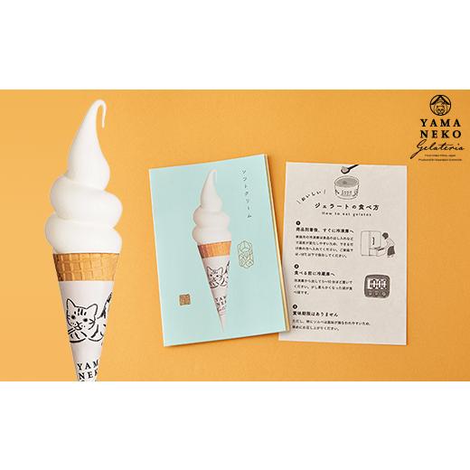 ふるさと納税 菓子 アイス 千葉県 大多喜町 W03023 野菜ソムリエのイタリアンジェラート専門店 山猫ソフトクリーム １８個セットの画像