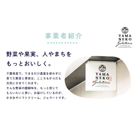 ふるさと納税 菓子 アイス 千葉県 大多喜町 W03023 野菜ソムリエのイタリアンジェラート専門店 山猫ソフトクリーム １８個セットの画像