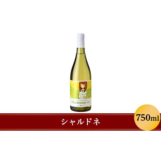 ふるさと納税 ワイン 白ワイン 長野県 山形村 シャルドネ 750ml 樽発酵 大池ワイン 1240