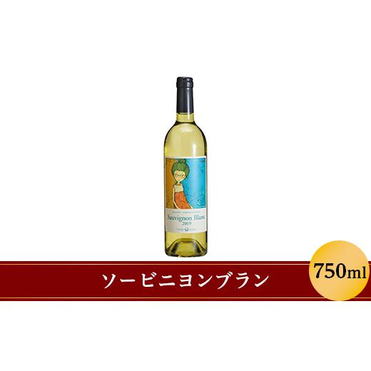 ふるさと納税 ワイン 白ワイン 長野県 山形村 ソーヴィニヨン・ブラン 750ml 大池ワイン 1241