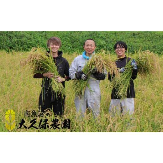 高評価続出！ ふるさと納税 新潟県 南魚沼市 【頒布会】南魚沼産コシヒカリ　八富米　農薬7割減の特別栽培米　無洗米５ｋｇ×全１２回 【HO1986128931】(69960円)