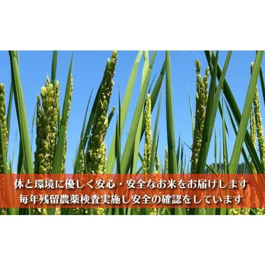 高評価続出！ ふるさと納税 新潟県 南魚沼市 【頒布会】南魚沼産コシヒカリ　八富米　農薬7割減の特別栽培米　無洗米５ｋｇ×全１２回 【HO1986128931】(69960円)