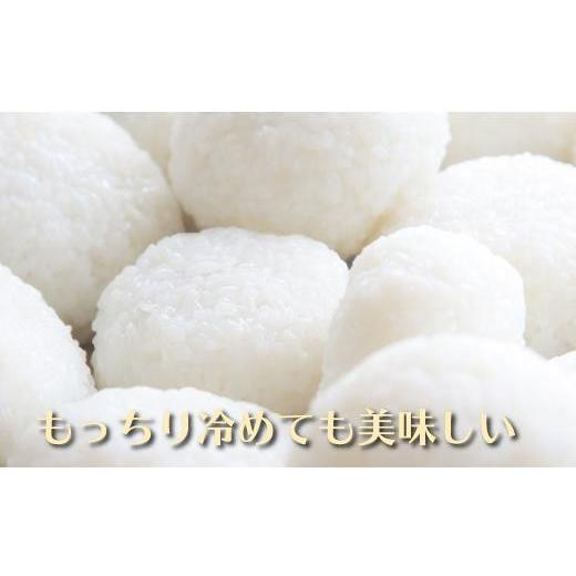 高評価続出！ ふるさと納税 新潟県 南魚沼市 【頒布会】南魚沼産コシヒカリ　八富米　農薬7割減の特別栽培米　無洗米５ｋｇ×全１２回 【HO1986128931】(69960円)