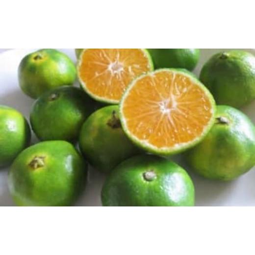 ふるさと納税 果物類 みかん 香川県 観音寺市 2026年秋よりお届け フジカワ温州みかん 約2kg 果物 柑橘 フルーツ おやつ 間食 デザート 食後 極早生 早生 甘い… |  | 04