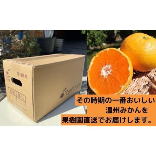 ふるさと納税 果物類 みかん 香川県 観音寺市 2026年秋よりお届け フジカワ温州みかん 約2kg 果物 柑橘 フルーツ おやつ 間食 デザート 食後 極早生 早生 甘い… |  | 05