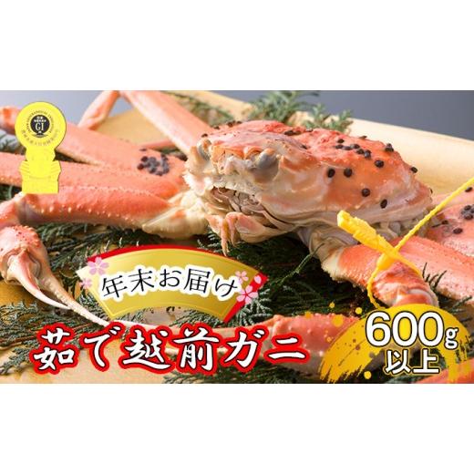 ふるさと納税 エビ・カニ等 カニ 福井県 若狭町 かに 年末配送 茹で 越前がに 約600g以上 1杯 ずわい蟹 ボイルカニ ボイル 魚介類