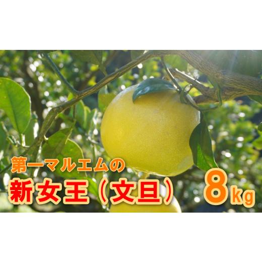 ふるさと納税 みかん・柑橘類 愛媛県 愛南町 先行予約 文旦 新女王 秀品 8kg 柑橘 フルーツ 熟成 第一マルエム 愛媛みかん ポンカン 文旦 河内晩柑 温州みかん…
