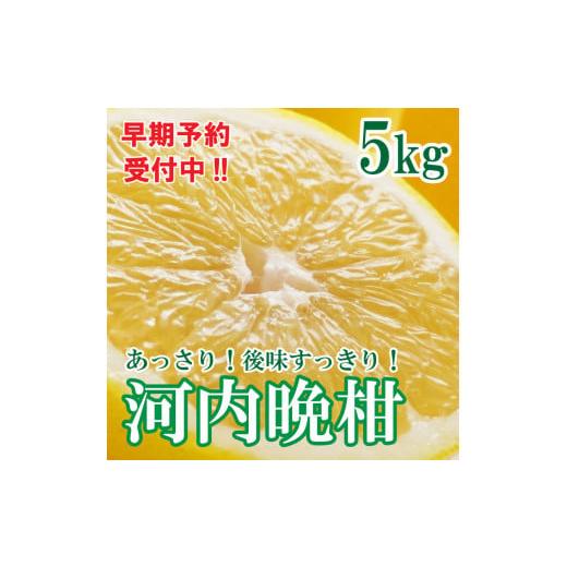 ふるさと納税 梨 愛媛県 愛南町 先行予約 2026年6月ごろ発送開始 河内晩柑 ばんかん 約 5kg 家庭 柑橘 かんきつ フルーツ 果物 くだもの 厳選 愛媛 みかん 蜜…