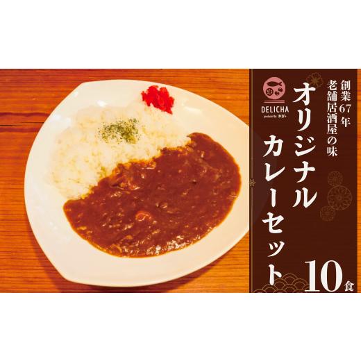 ふるさと納税 惣菜・レトルト 冷凍 山口県 宇部市 DELICHA オリジナルカレーセット(10食入り)