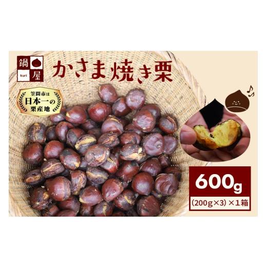 ふるさと納税 果物類 栗 茨城県 笠間市 焼き栗 栗 600g (1箱200g×3袋) 国産 個包装 くり 和栗 甘栗 冷凍 ギフト プレゼント 父の日 母の日 和栗 スイーツ 和…