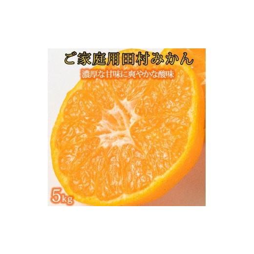 ふるさと納税 果物類 みかん 和歌山県 新宮市 先行予約 ご家庭用訳あり 田村みかん 5kg 2026年11月下旬〜2027年1月下旬頃に順次発送予定 uot754A