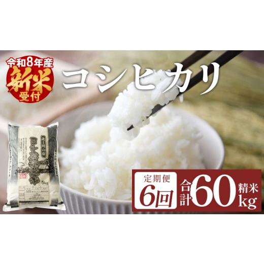 ふるさと納税 米 コシヒカリ 宮城県 石巻市 先行予約 定期便 6回 令和8年産 ヨシ腐葉土米 コシヒカリ 合計 60kg 新米 毎月10kgを6回に渡りお届け コシヒカリ