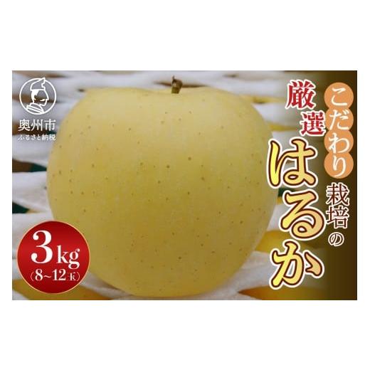 ふるさと納税 りんご 岩手県 奥州市 スターファーム こだわり栽培の はるか 厳選品 3kg(8〜12玉) 期間限定 数量限定 りんご 林檎 フルーツ 産地直送 贈答用 …