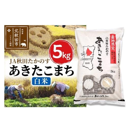ふるさと納税 米 あきたこまち 秋田県 北秋田市 あきたこまち 白米5kg(5kg×1袋) 5キロ お米 令和7年産 秋田たかのす農業協同組合