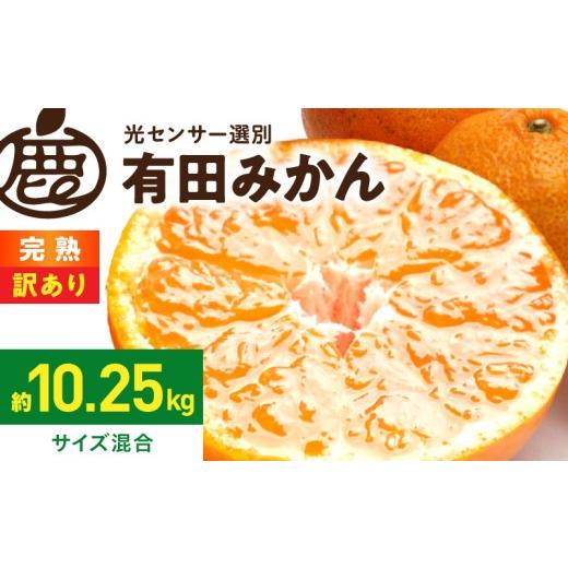 ふるさと納税 果物類 みかん 和歌山県 湯浅町 2026年先行予約 家庭用 完熟有田みかん 約10kg+250g(傷み補償分) わけあり・訳あり 光センサー選果 _ZH6320n