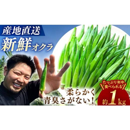 ふるさと納税 長崎県 西海市 [☆先行予約☆][朝採れ旬野菜] オクラ 約 1kg [パッパラパー農園] 