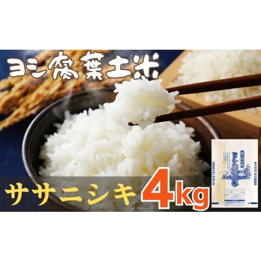 ふるさと納税 米 ササニシキ 宮城県 石巻市 令和7年産 品種が選べる ヨシ腐葉土米 精米4kg ササニシキ ササニシキ