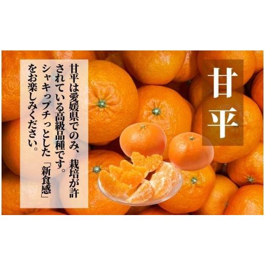 ふるさと納税 愛媛県 松山市 【三種のみかん食べ比べ箱】甘平・はるか・宮内伊予柑 （良品）約2.8kg ＜2025年2月頃発送＞ 愛媛 松山 みかん 詰め合わせ 先行予…｜furusatochoice｜03