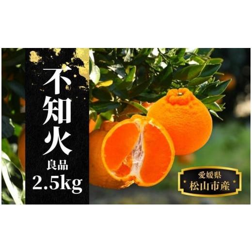 ふるさと納税 みかん・柑橘類 愛媛県 松山市 不知火 良品 約 2.5 kg 2026年2月末〜4月頭頃発送 愛媛 松山 みかん 先行予約 蜜柑 柑橘 果物 くだもの フルーツ…
