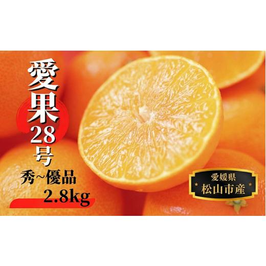ふるさと納税 みかん・柑橘類 愛媛県 松山市 2026年12月頃から順次発送 愛果28号 (紅まどんな と同品種) 約2.8kg 秀~優品 | 愛媛県産 みかん 蜜柑 オレンジ …