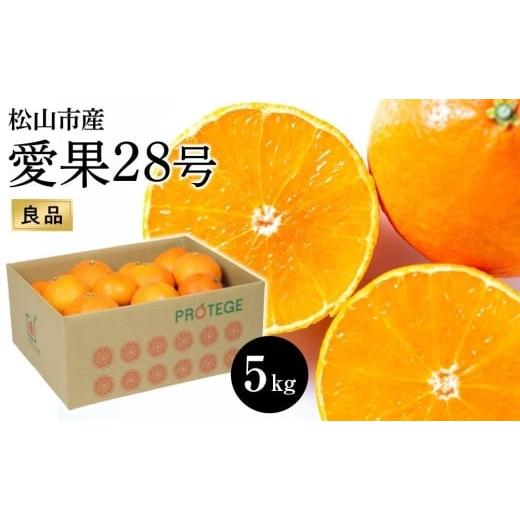 ふるさと納税 みかん・柑橘類 愛媛県 松山市 愛果28号 約5kg(良品) 11月下旬から順次発送 |先行予約 愛果28号 まどんな 柑橘 みかん 果物 くだもの フルー…
