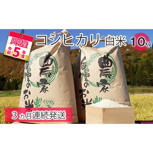 ふるさと納税 福島県 只見町 【中野米店】令和5年　只見産　コシヒカリ　白米　10kg　3ヵ月連続発送（合計30kg） [No.5633-0185] 米、ごはん