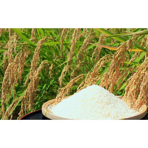 ふるさと納税 福島県 只見町 【中野米店】令和5年　只見産　コシヒカリ　白米　10kg　3ヵ月連続発送（合計30kg） [No.5633-0185] 米、ごはん