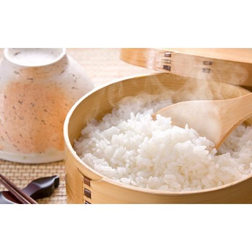 ふるさと納税 福島県 只見町 【中野米店】令和5年　只見産　コシヒカリ　白米　10kg　3ヵ月連続発送（合計30kg） [No.5633-0185] 米、ごはん