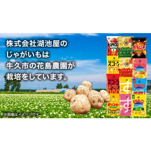 ふるさと納税 茨城県 牛久市 カルビー 湖池屋 人気 24種 詰め合わせ お楽しみ スナック菓子 セット カルビー 湖池屋 ポテトチップス ポテチ お菓子 おかし 大…｜furusatochoice｜04