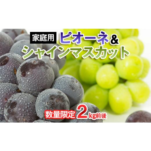 ふるさと納税 ぶどう マスカット 山形県 山形市 家庭用 数量限定 ピオーネ&シャインマスカット 2kg前後 令和8年産先行予約 FU22-374