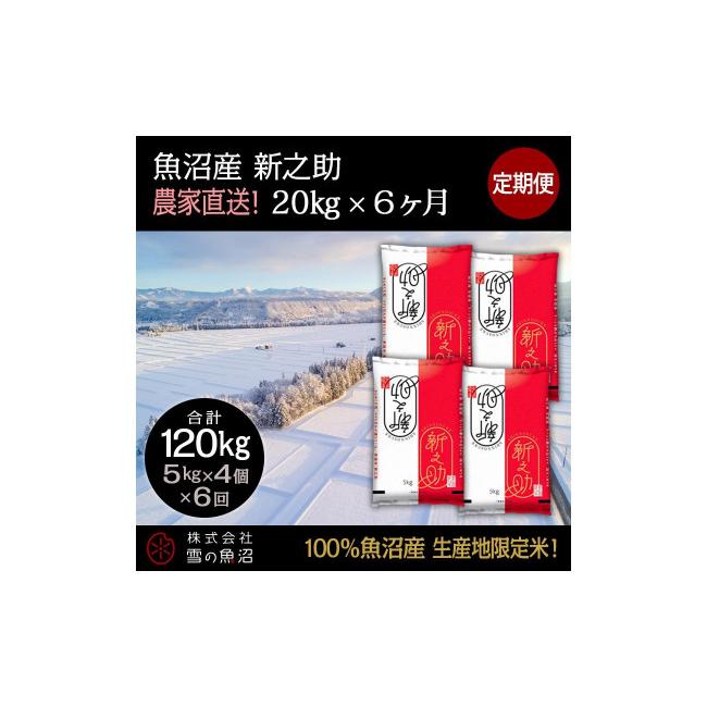 ふるさと納税 新潟県 十日町市 定期便！魚沼産 新之助【合計120kg】20kg×6回