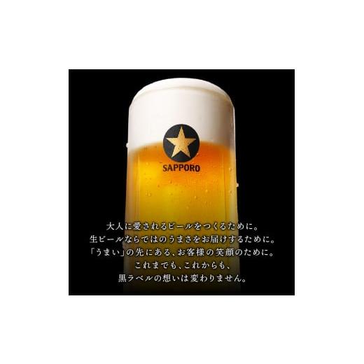 ふるさと納税 ビール 静岡県 焼津市 T0096-2104  定期便 4回 ビール 黒ラベル サッポロ 500mlの画像