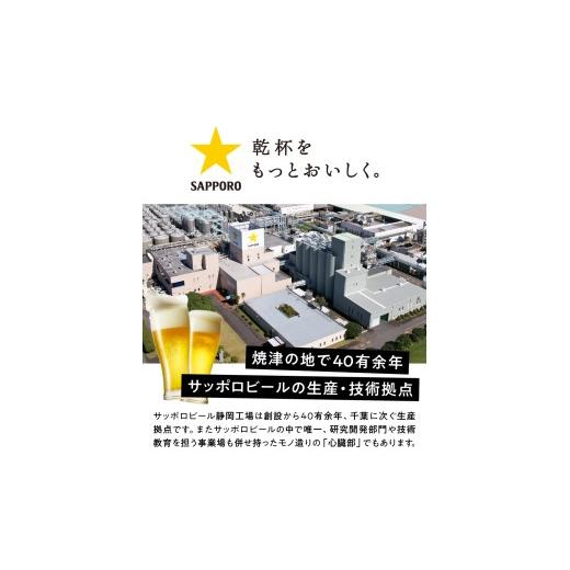 ふるさと納税 麦酒 静岡県 焼津市 T0098-2212  定期便 12回 麦酒 エビス サッポロ 500ml