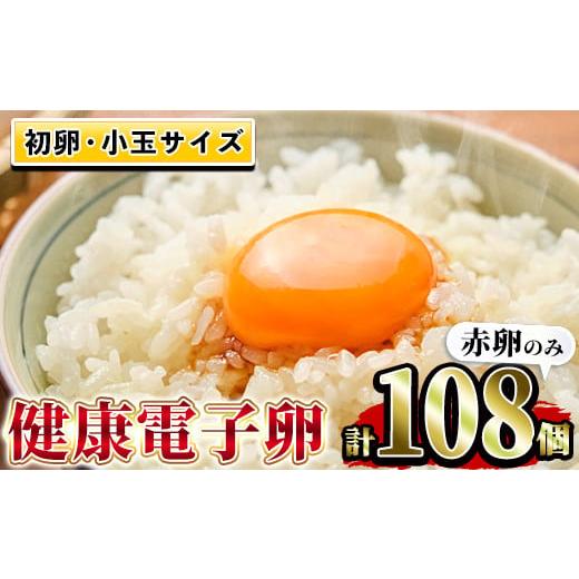 ふるさと納税 鹿児島県 いちき串木野市 A-1636H 健康電子卵・初卵108個(赤卵)