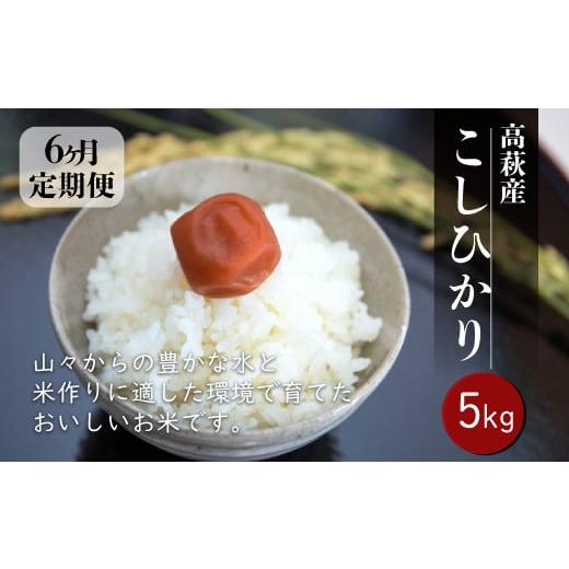 ふるさと納税 米 コシヒカリ 茨城県 高萩市 6ヶ月定期便 令和7年度産 高萩市産 コシヒカリ 5kg 米 こしひかり こめ コメ ごはん ご飯 お米 おこめ 精米 白米 …