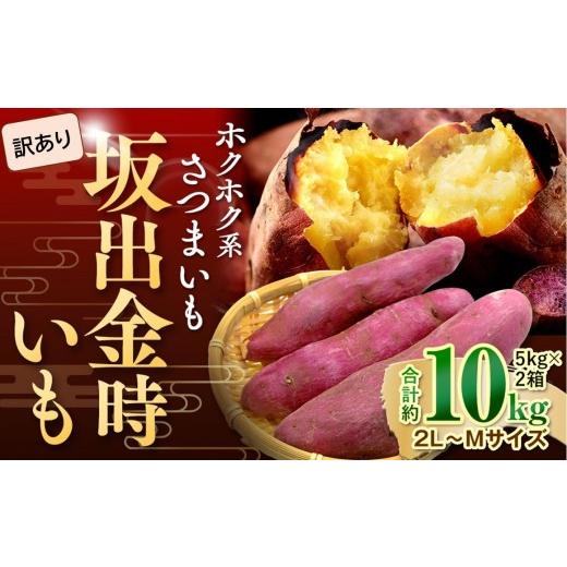 ふるさと納税 野菜類 サツマイモ 香川県 坂出市  2026年8月下旬以降発送・先行予約 訳あり 坂出金時いも 約5kg×2箱 2L〜Mサイズ | さつまいも 芋 サツマイ…の画像
